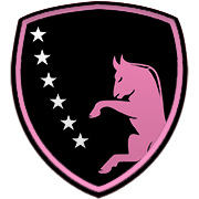 헐 시티 AFC 엠블럼