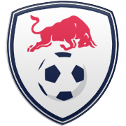 디트로이트 피스톤즈 엠블럼