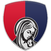 샬럿 호네츠 엠블럼