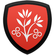 RCD 마요르카 엠블럼