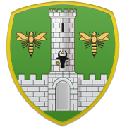 지로나 FC 엠블럼