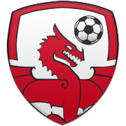 FC 나사프(N) 엠블럼