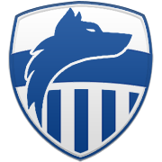 미네소타 팀버울브스 엠블럼