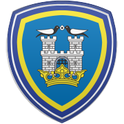 미네소타 팀버울브스 엠블럼