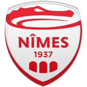 안양 정관장 엠블럼